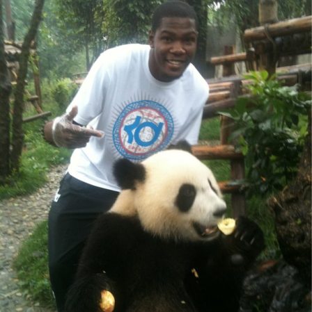 kevindurantpanda