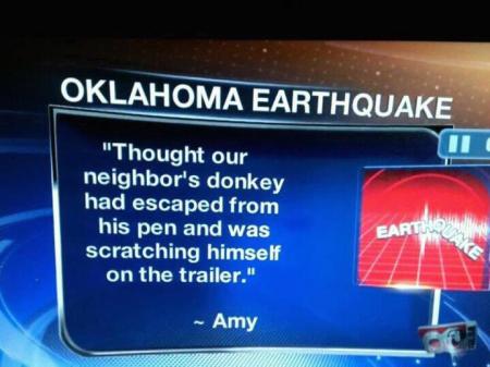 oklahoma earthquak donkey