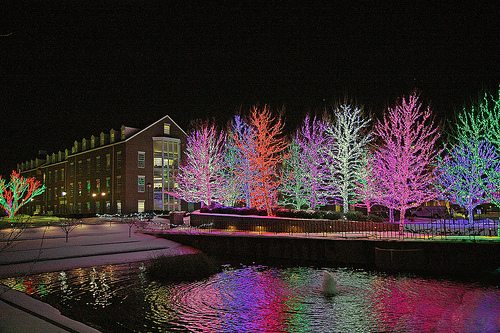 chesapeake christmas lights