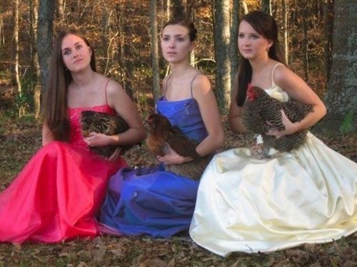 funny-awkward-prom-chickens