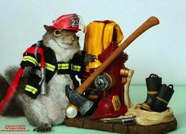 squirrel firefighter