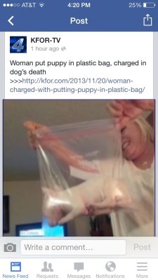 dog in bag dead