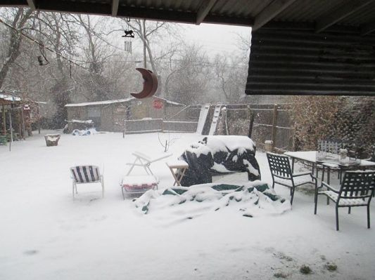 winter weather backyard 4