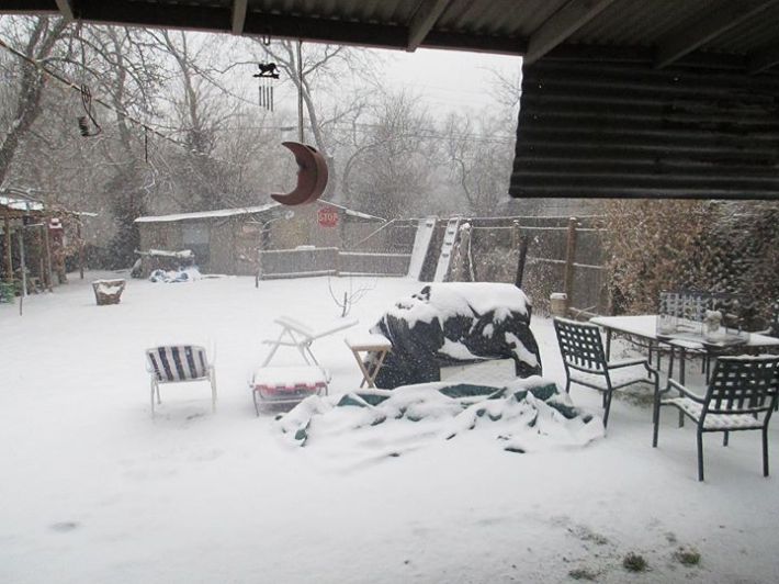 winter weather backyard 4