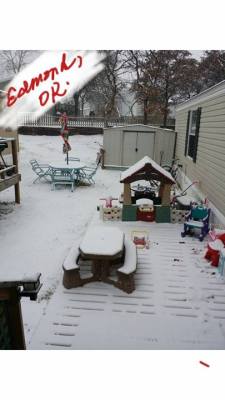 winter weather backyard2