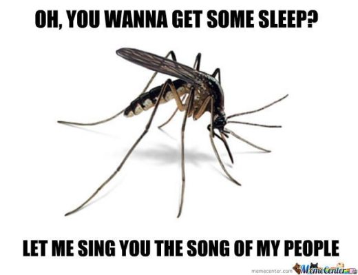 annoying-mosquito_o_1082158