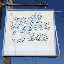 the blue fox