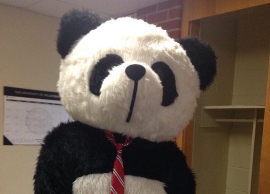 ou panda