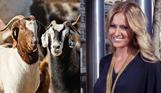 joleen hefner goats