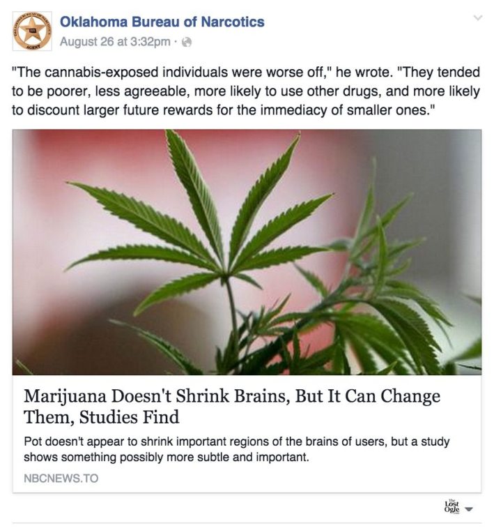 OBN marijuana propaganda