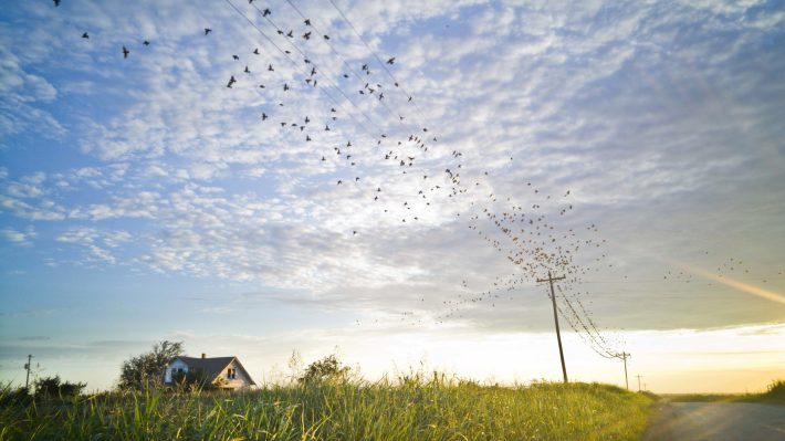 in-photos-earthquakes-in-oklahoma-body-image-1439828304