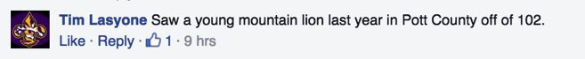 00009mountain lion