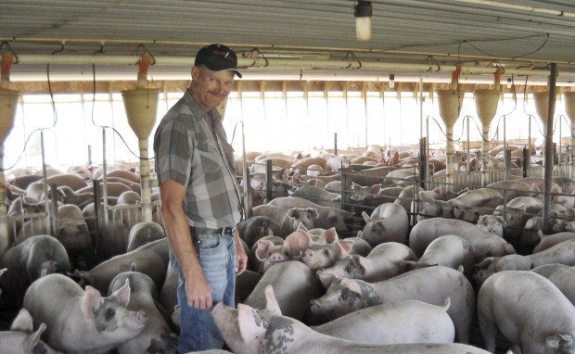 hog-farm